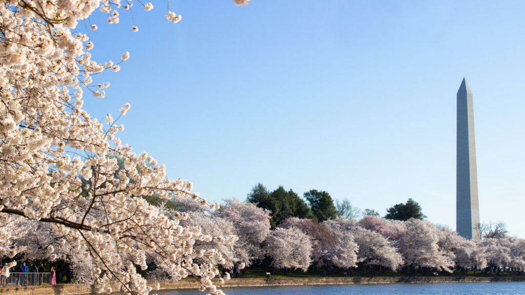 National Mall